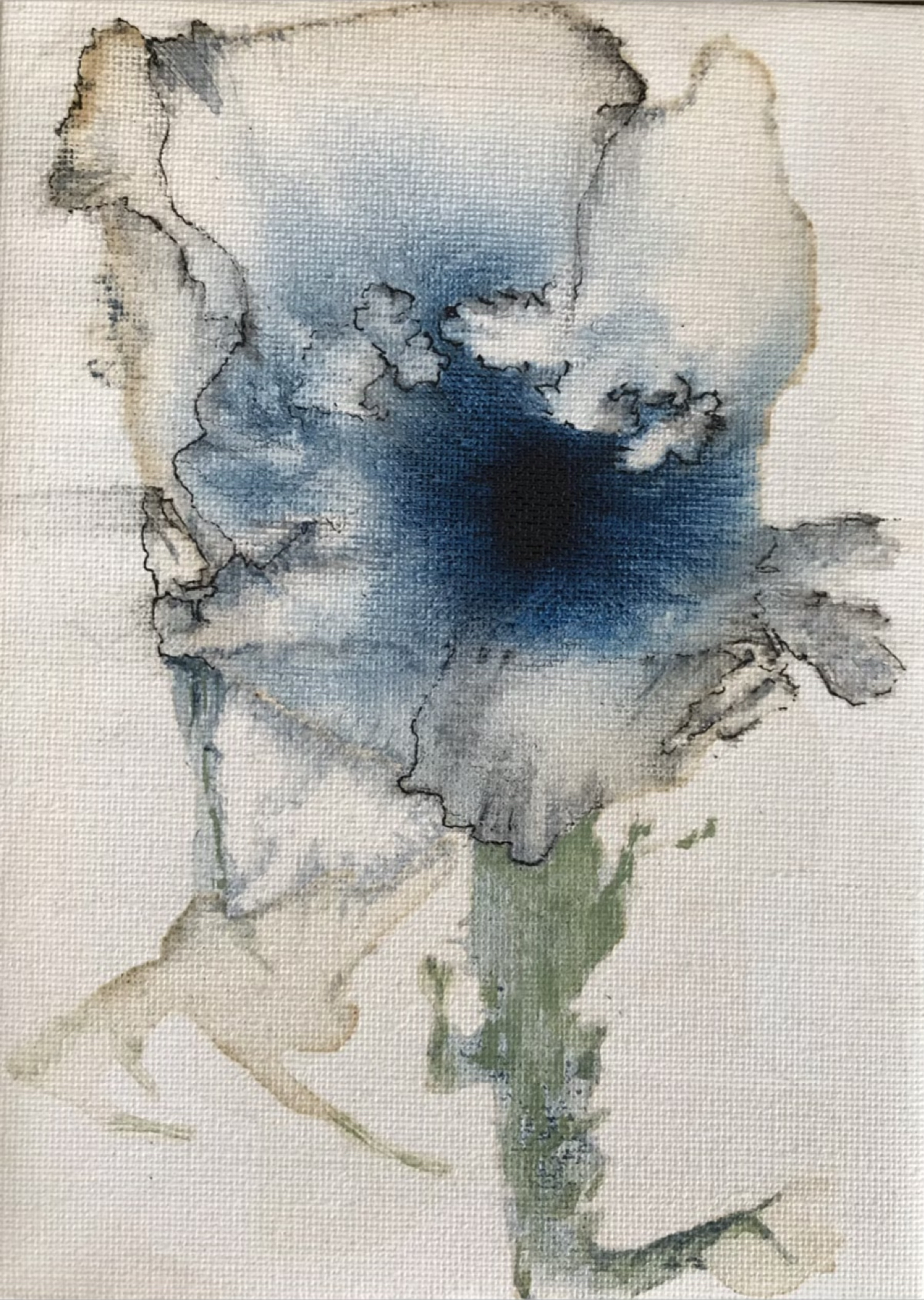 Ann Hollingworth