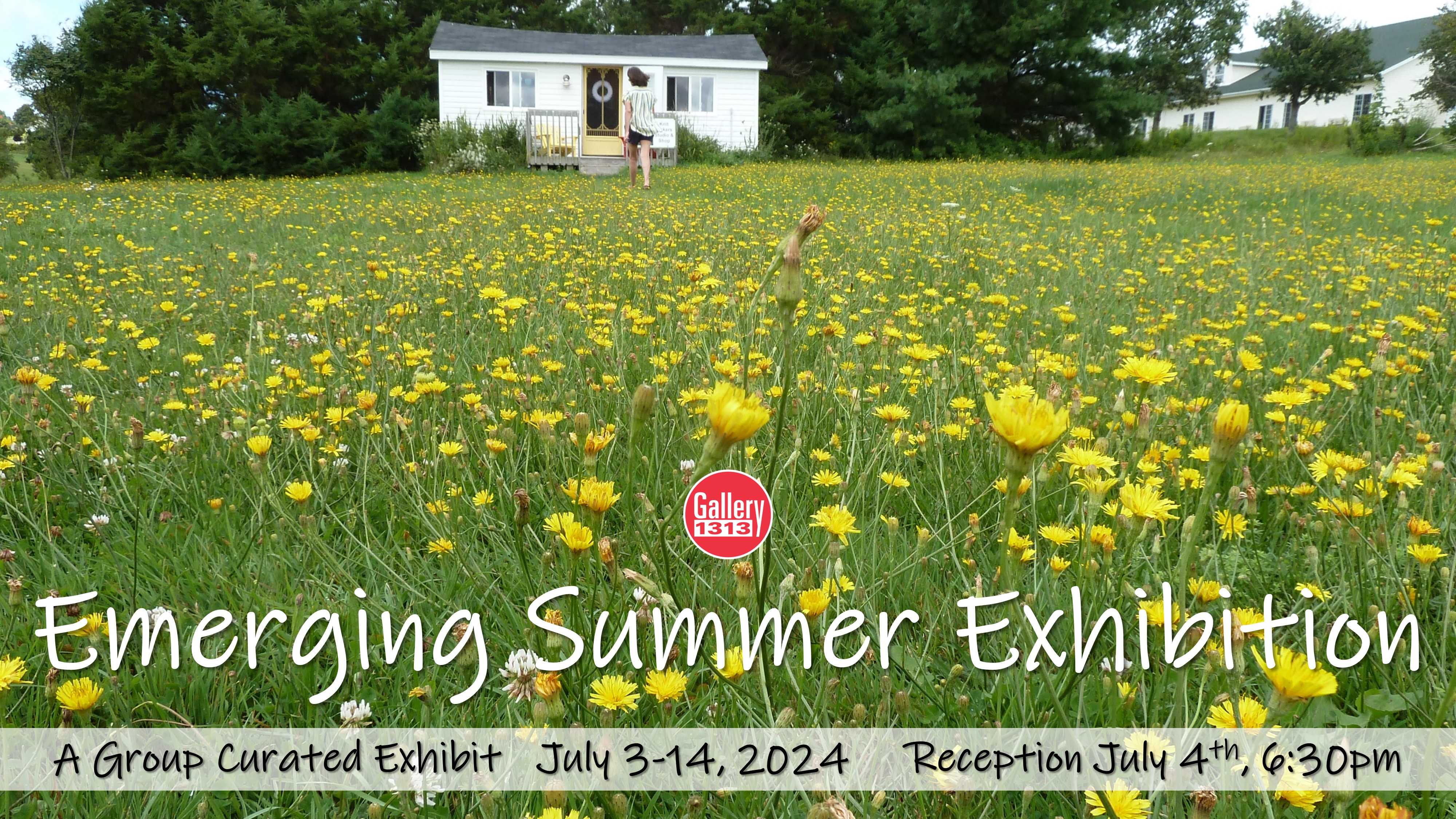 Summer Emerging Artist Exhibit – July 3-14