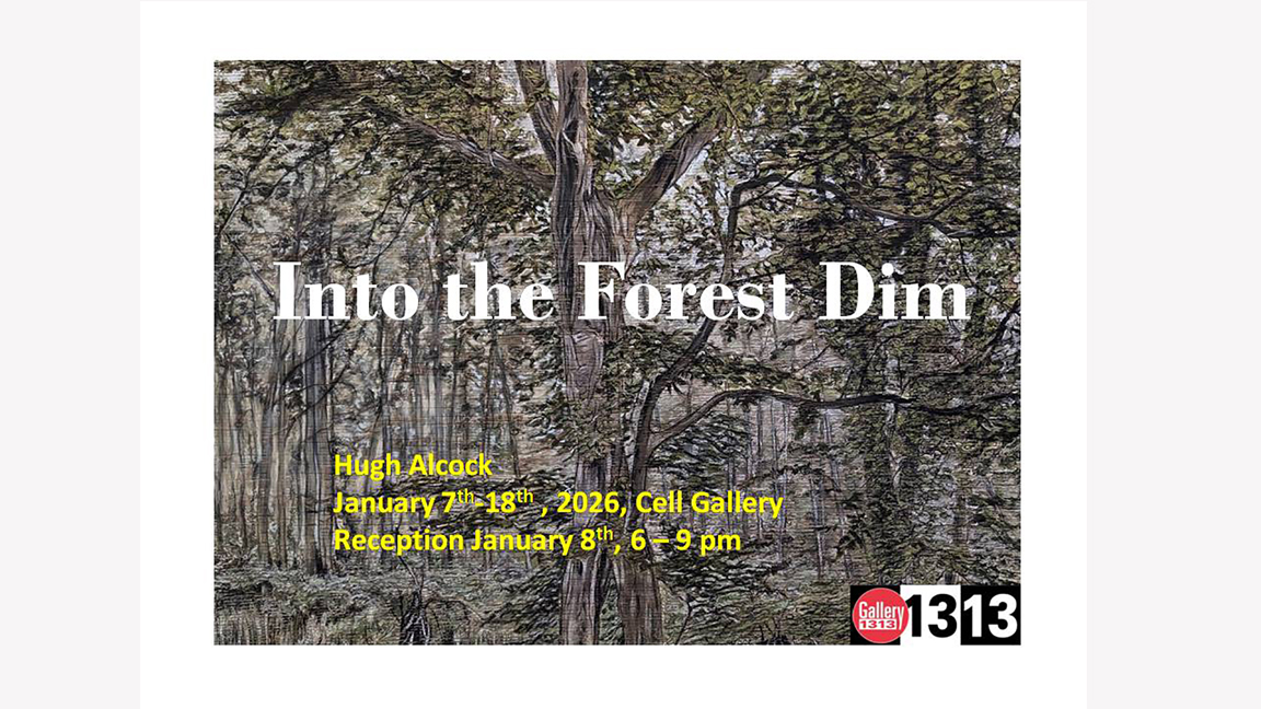INTO THE FOREST DIM – Hugh Alcock – Jan 7 – 18, 2026